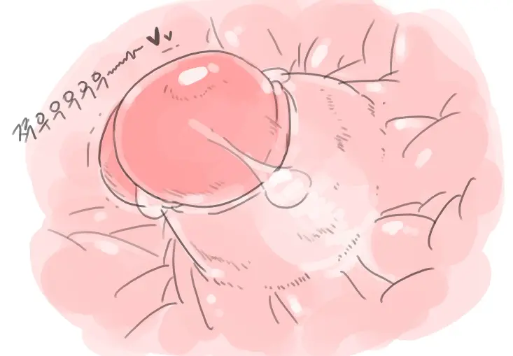 넷캔